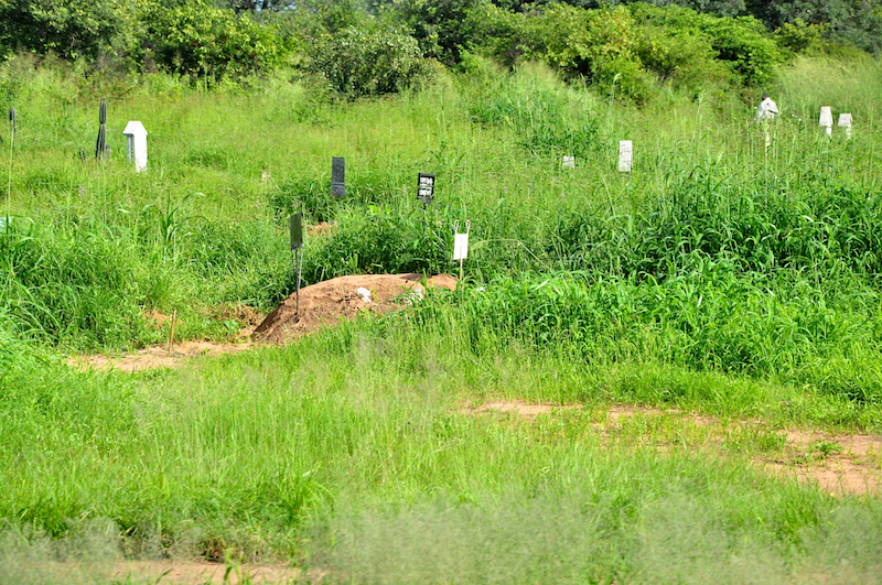 Melanie Heinrich Travel Images - Nelspruit-Lion Sands Private Game Reserve
